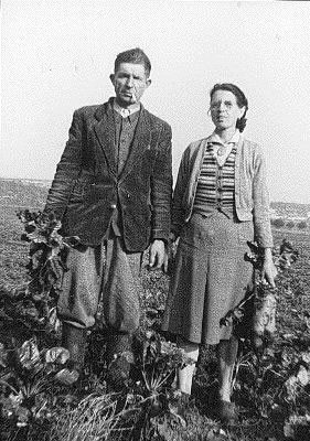Catherine et Ricardo Val à En Gasc (Labruguière, Tarn), en train de récolter les betteraves, 1950. © CORDAE/La Talvera