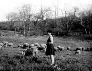 Franca Corrieri garde les moutons aux Clauzels (Roussayrolles, Tarn), 1939 © CORDAE/La Talvera