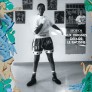 Couverture du Journal du Palais n°35, de juin à août 2026