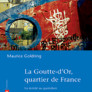 La Goutte d'Or, quartier de France : la mixité au quotidien