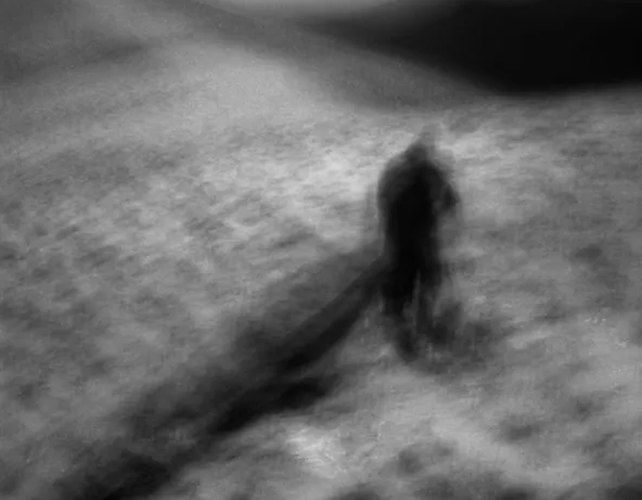 Territoire, 2002, Gilles Delmas 