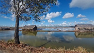 Clara Jullien, Cabanes servant à la surveillance des bassins aquacoles près de la côte sud du delta du Mékong, 2022