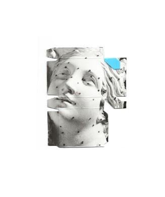 Hélène BELLENGER, Sans titre (venere di gesso) - série « Carta Venere », 2026, impression sur carton. Courtesy de l’artiste 