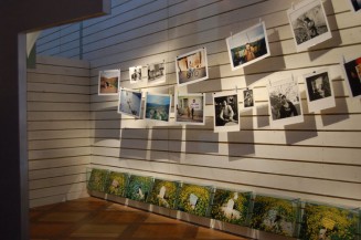 Kader Attia, Correspondance, 2003