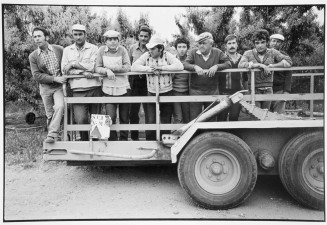 Environs de Nîmes, travailleurs marocains et espagnols dans les vergers du mas des Tuileries. 1981. Photographie de Jacques Windenberger