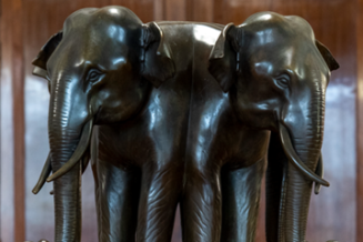 Après la restauration © Anne Volery, 2020