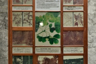 Panneau lumineux caoutchouc