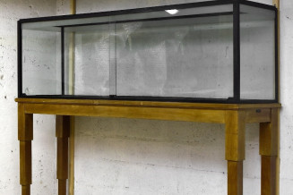 Vitrine sur pied Palais