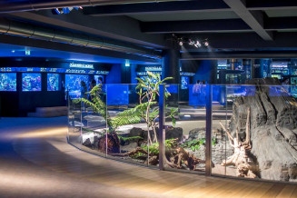 Aquarium à la réouverture