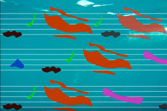 les chants des baleines