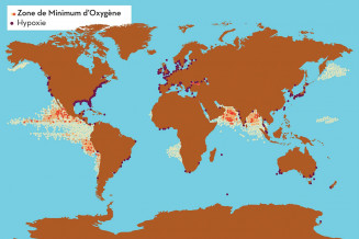 Zones pauvres en oxygène dans l'océan mondial