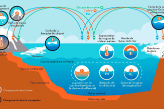 Les composants clés des systèmes océaniques et de la cryosphère, et leur évolution dans le contexte du changement climatique.