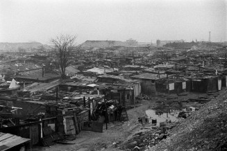 "L’arbre de la Folie", photo prise par Monique Hervo, qui vécut 12 ans dans le bidonville de Nanterre, parmi la population algérienne. Photographie © Monique Hervo, Bibliothèque de documentation internationale contemporaine, MHC