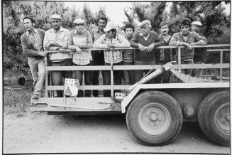 Environs de Nîmes, travailleurs marocains et espagnols dans les vergers du mas des Tuileries. 1981. Photographie de Jacques Windenberger