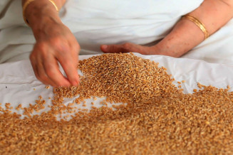 Ymane Fakhir extrait video blé