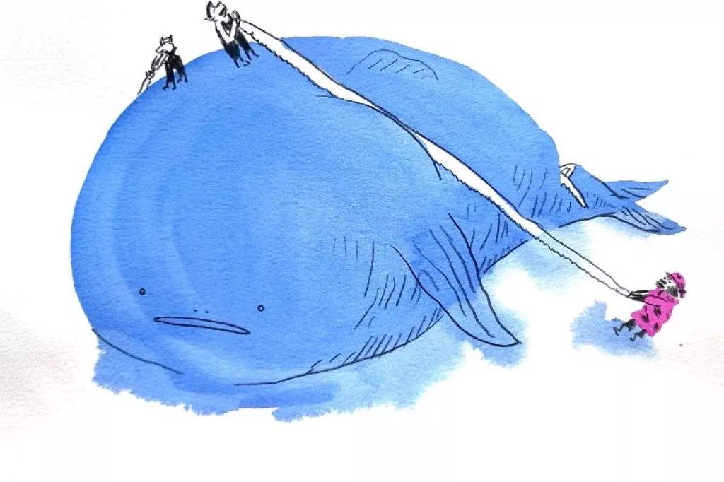 Dessin de Gaëtan Dorémus