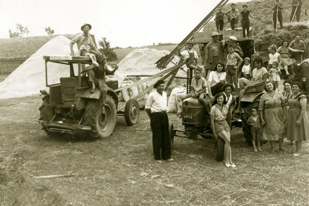 Moisson chez les Casagrande à Saubens (Haute-Garonne), fin des années 50. © EDITALIE