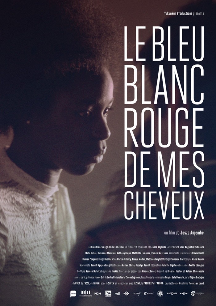 bleu blanc rouge de mes cheveux