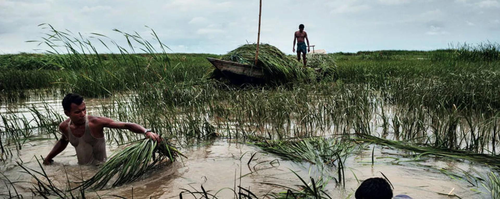Bangladesh, le Delta du Gange, 2012 © Alessandro Grassani