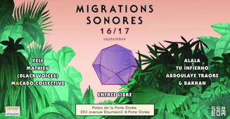 migrations_sonores_2.jpg
