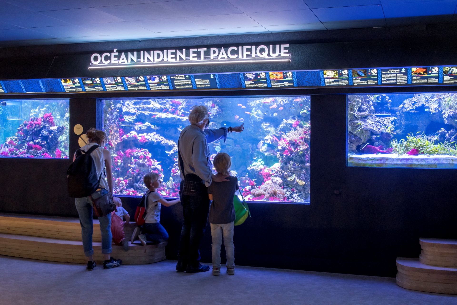 Aquarium tropical