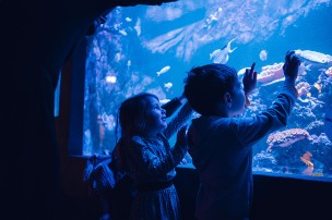 Enfants dans l'Aquarium