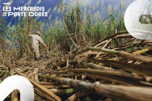 Affiche du Mercredi de la Porte Dorée sur le cycle de la mémoire et de l'esclavage.