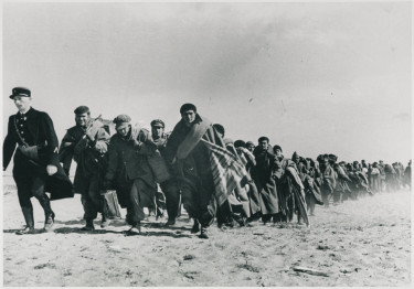 Réfugiés espagnols pendant leur transfert au camp de Barcarès (Pyrénées-Orientales), mars 1939, Robert Capa © Musée national de l'histoire et des cultures de l'immigration 
