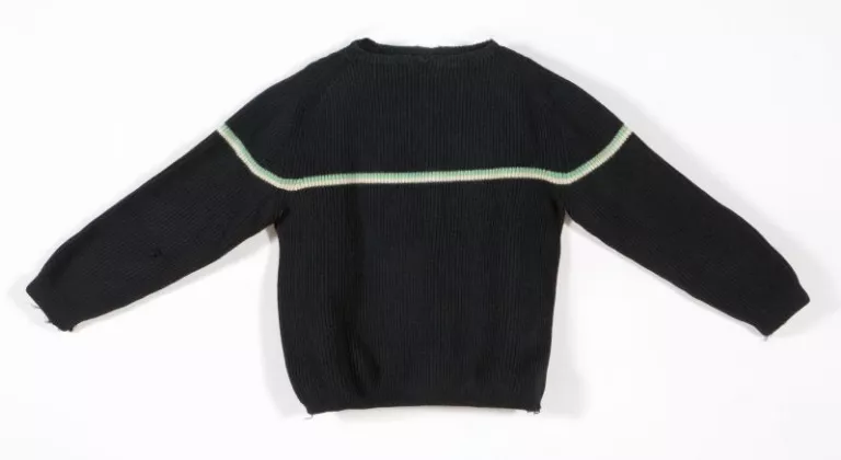 Pull de directeur technique national de la fédération algérienne de ski
