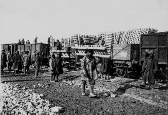 Photographie de travailleurs chinois sur le front britannique Ouest en France, 1914-1918