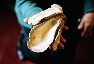 Monique Bordry, les huîtres de Tai-Shan © Atelier du Bruit