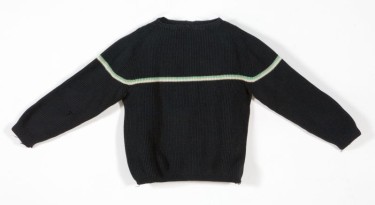 Pull de directeur technique national de la fédération algérienne de ski