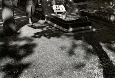 Patrick Zachmann. Inscriptions antisémites dans le carré juif du cimetière de Bagneux, Ile de France. Avril 1981 © Musée national de l’histoire et des cultures de l’immigration